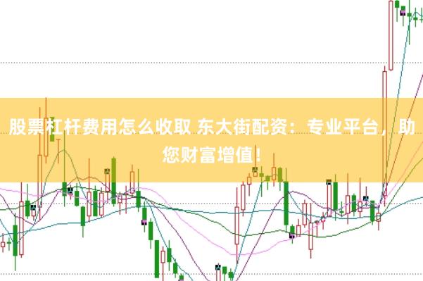 股票杠杆费用怎么收取 东大街配资：专业平台，助您财富增值！