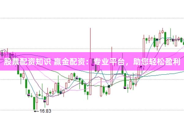股票配资知识 赢金配资：专业平台，助您轻松盈利