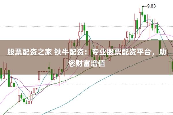 股票配资之家 铁牛配资：专业股票配资平台，助您财富增值