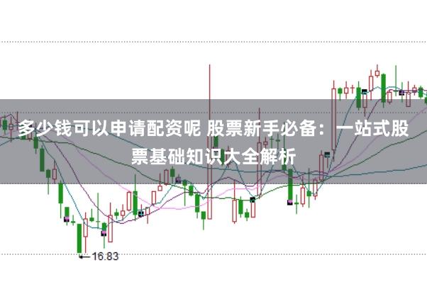 多少钱可以申请配资呢 股票新手必备：一站式股票基础知识大全解析