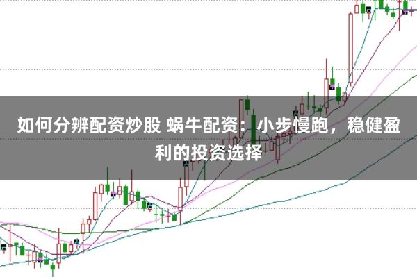 如何分辨配资炒股 蜗牛配资：小步慢跑，稳健盈利的投资选择