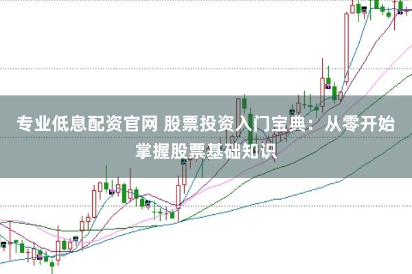 专业低息配资官网 股票投资入门宝典：从零开始掌握股票基础知识