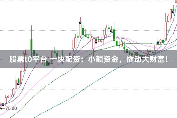 股票t0平台 一块配资：小额资金，撬动大财富！