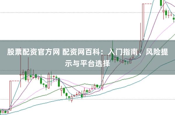 股票配资官方网 配资网百科：入门指南、风险提示与平台选择