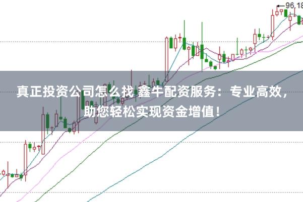 真正投资公司怎么找 鑫牛配资服务：专业高效，助您轻松实现资金增值！