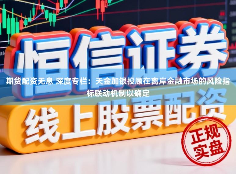 期货配资无息 深度专栏:天金加银投顾在离岸金融市场的风险指标联动机制以确定